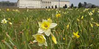 Northern Ireland Assembly elections show internal party cultures, not the electoral system, prevent equal opportunities for women in politics