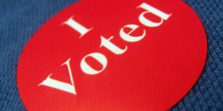Studies of turnout as a ‘habit’ seem to overestimate the significance of self-perpetuation of electoral participation Studies of turnout as a ‘habit’ seem to overestimate the significance of self-perpetuation of electoral participation