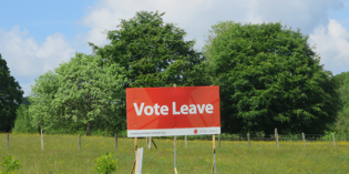 Patriotism, pessimism and politicians: understanding the vote to Leave