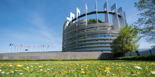 Elections to the European Parliament: what if more people voted? Elections to the European Parliament: what if more people voted?