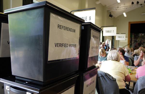 Referendum verified votes