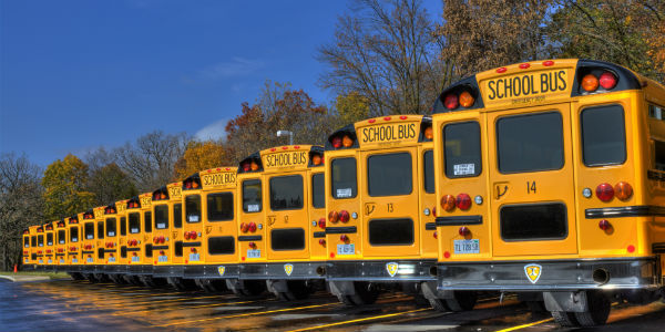 school buses