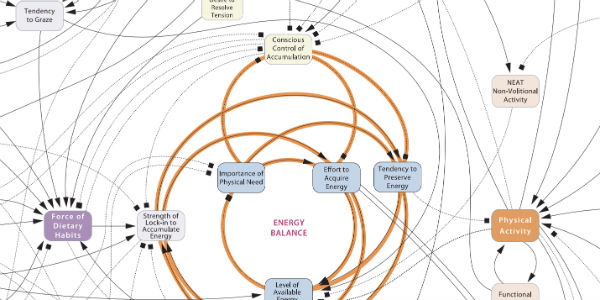 obesity systems map